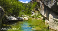 /album/fotogaleria-fotogrsfis-natura-viva/img-4052-jpg1/