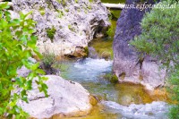 /album/fotogaleria-fotogrsfis-natura-viva/img-4092-jpg1/