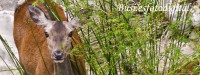 /album/fotogaleria-fotogrsfis-natura-viva/img-4200-jpg1/