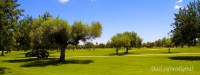 /album/fotogaleria-fotografia-panoramica-/img-2893-jpg1/